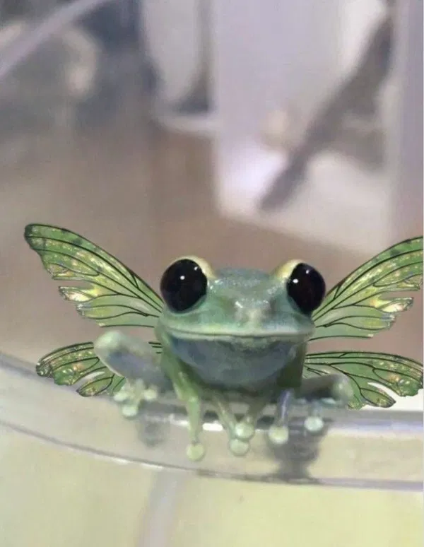 Avatar of _pikmin_