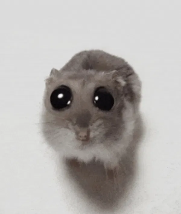 Avatar of VioletAmber