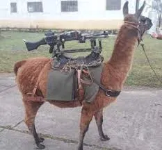 Avatar of Llamatron