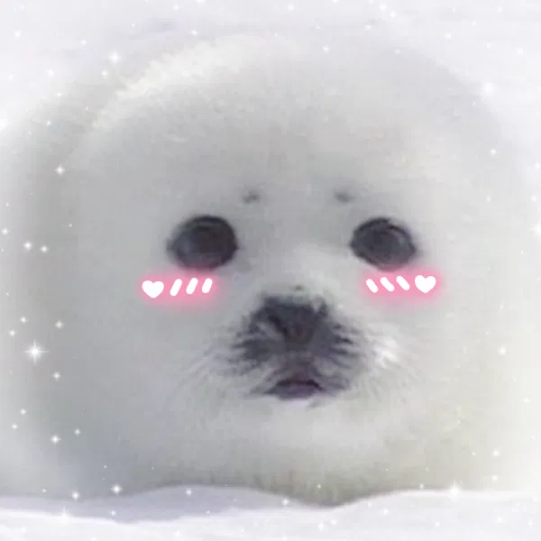 Avatar of Little-Fluffy-Seal