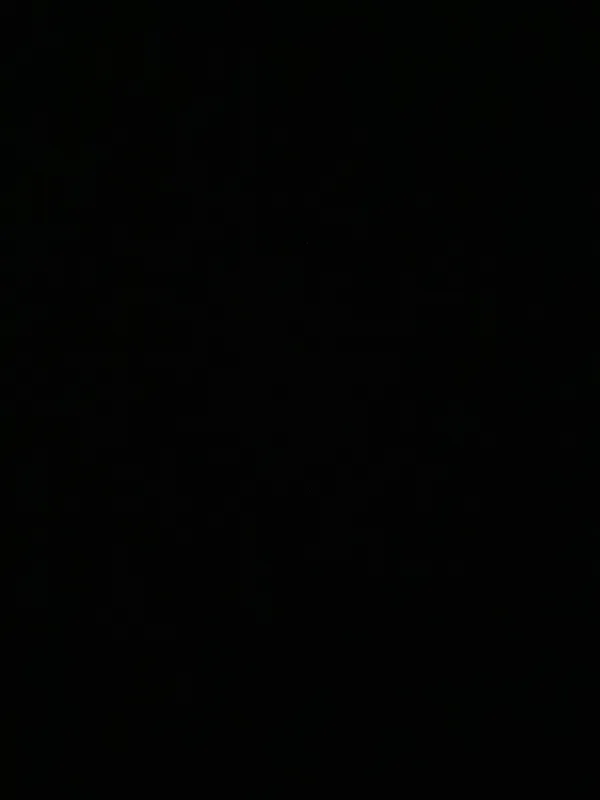 Avatar of Rando Mando