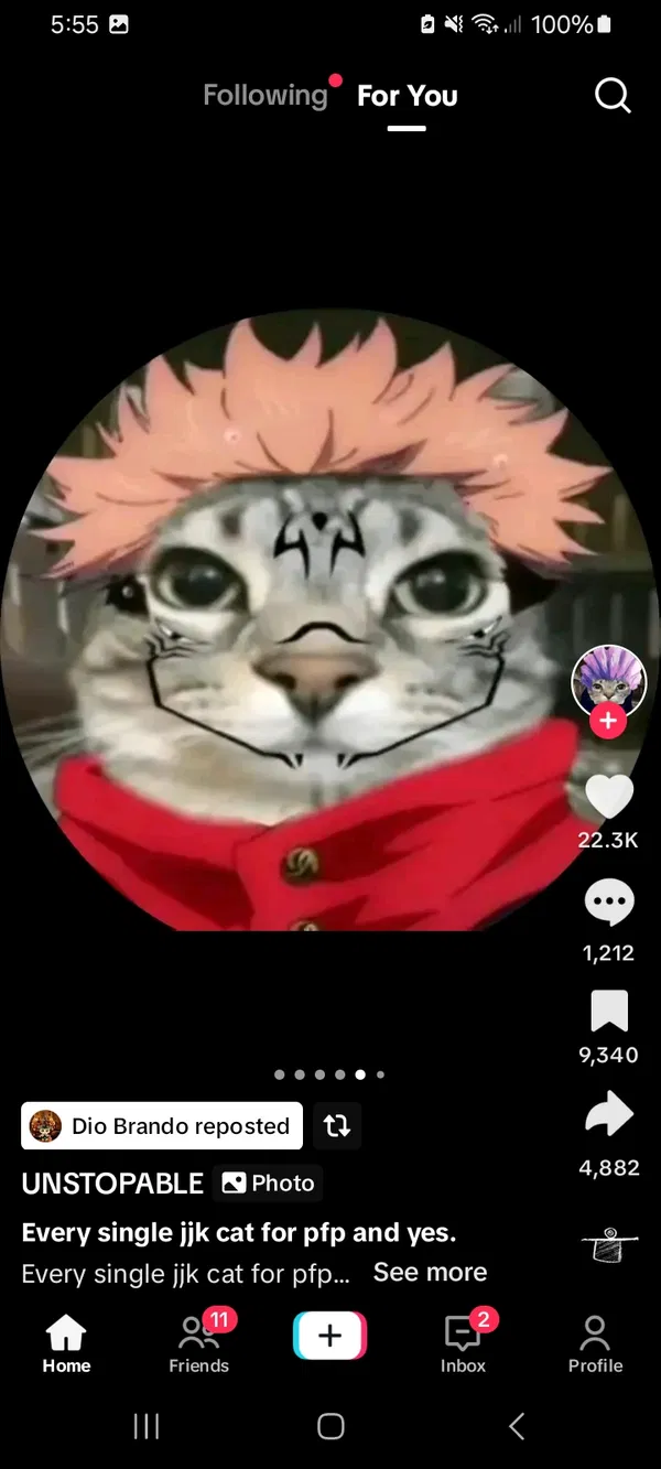 Avatar of Okkotzu