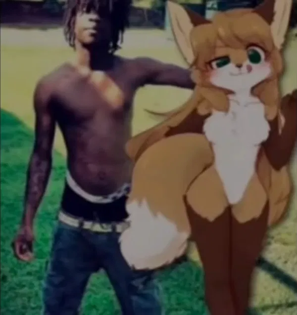 Avatar of Diddleafox