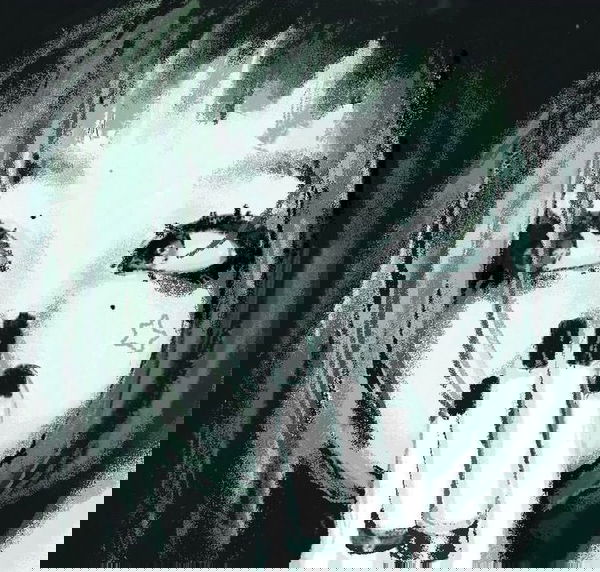 Avatar of bunnynixx