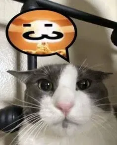 Avatar of NutsJuice