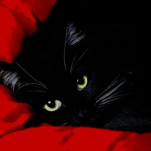 Avatar of urbaeag
