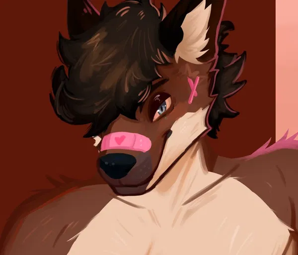 Avatar of MattGeenFox