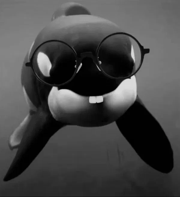 Avatar of Void_orca