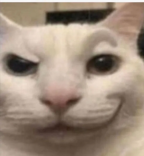 Avatar of StunZeed404