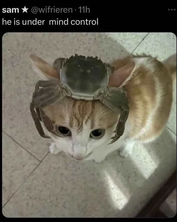 Avatar of Another Janitor Account