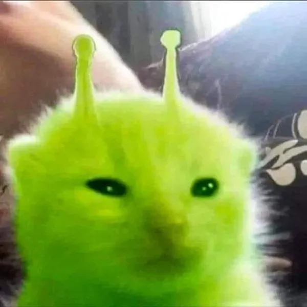 Avatar of Nokuy