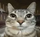 Avatar of bobbbb