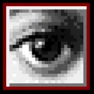 Avatar of AnonPanon