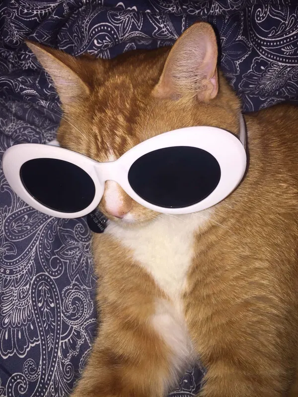 Avatar of bob_bob_bob?