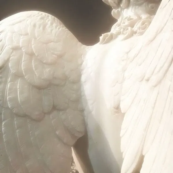 Avatar of Serene_Angel