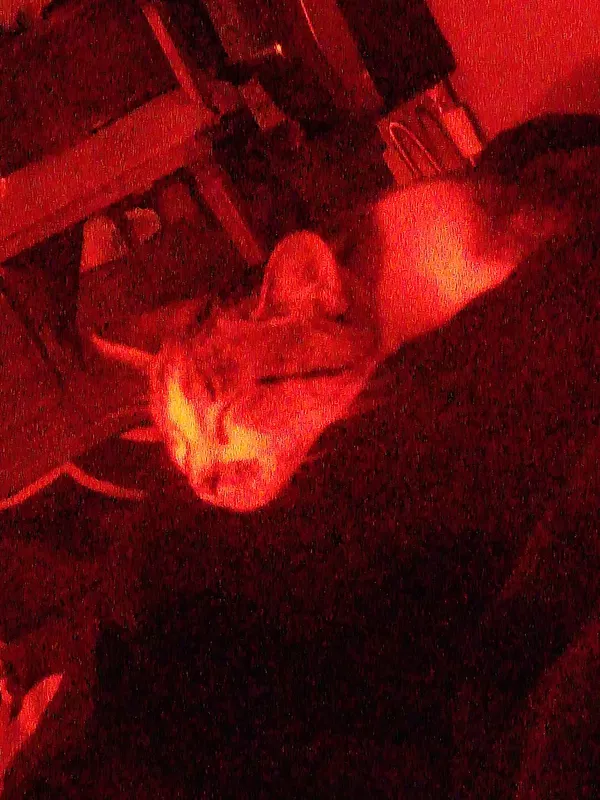 Avatar of Beowolf420