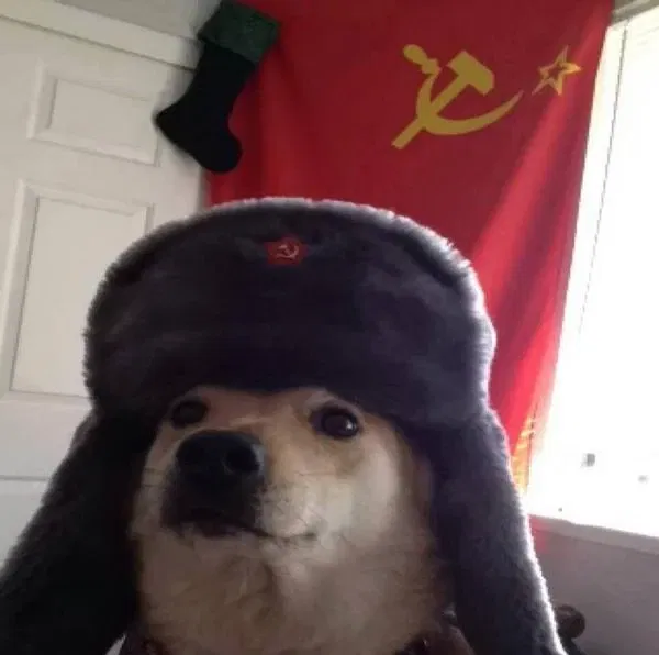 Avatar of Snowboarden woqendkwiwj