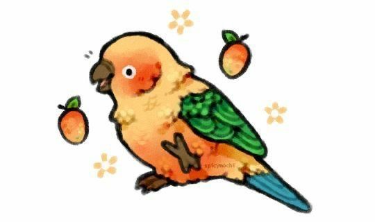 Avatar of sparrowsh4rk
