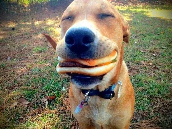 Avatar of BurgersYummm