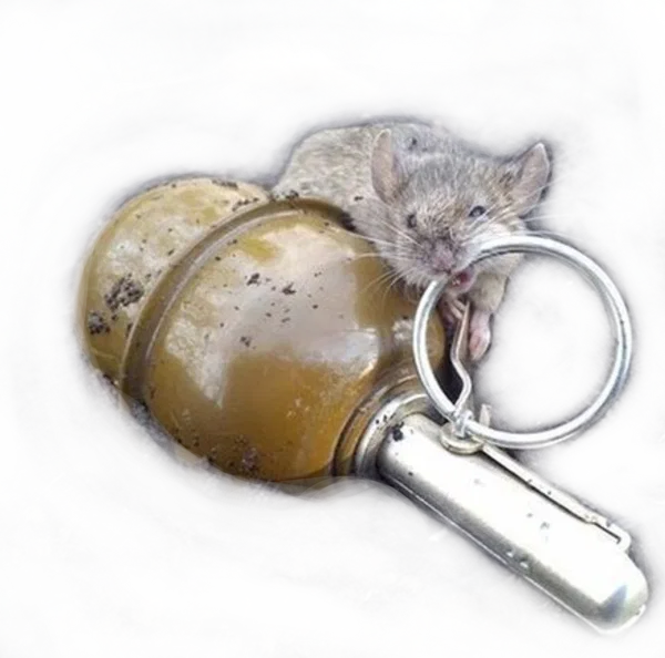 Avatar of Chudoacer