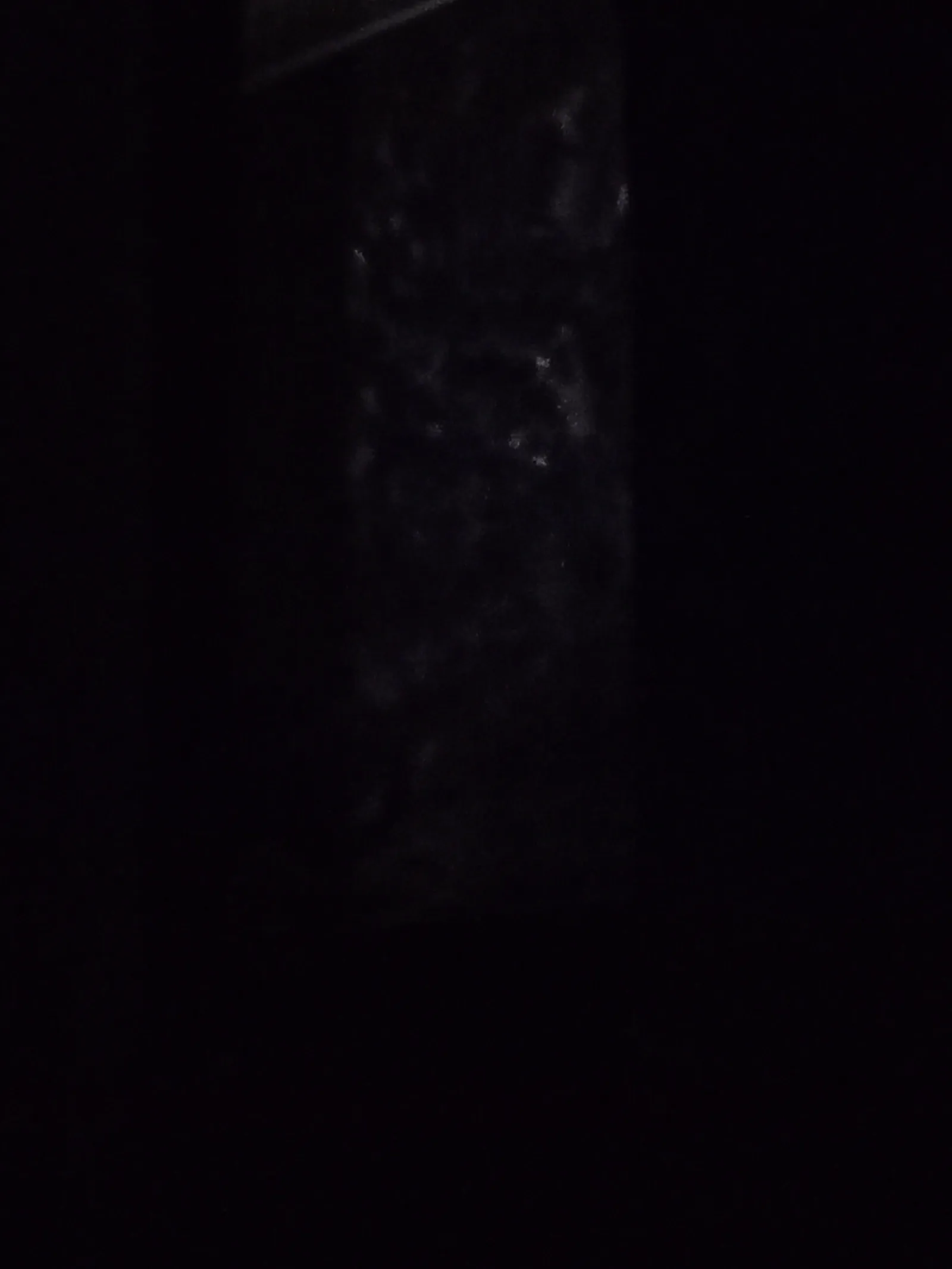 Avatar of Jajermik