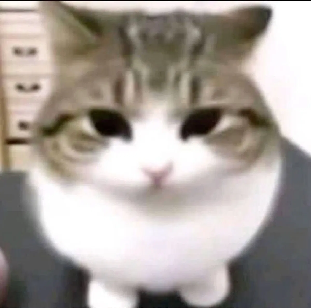 Avatar of exist