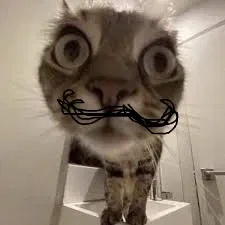 Avatar of Muchcooluser