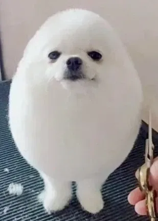 Avatar of SomeoneSkeptical
