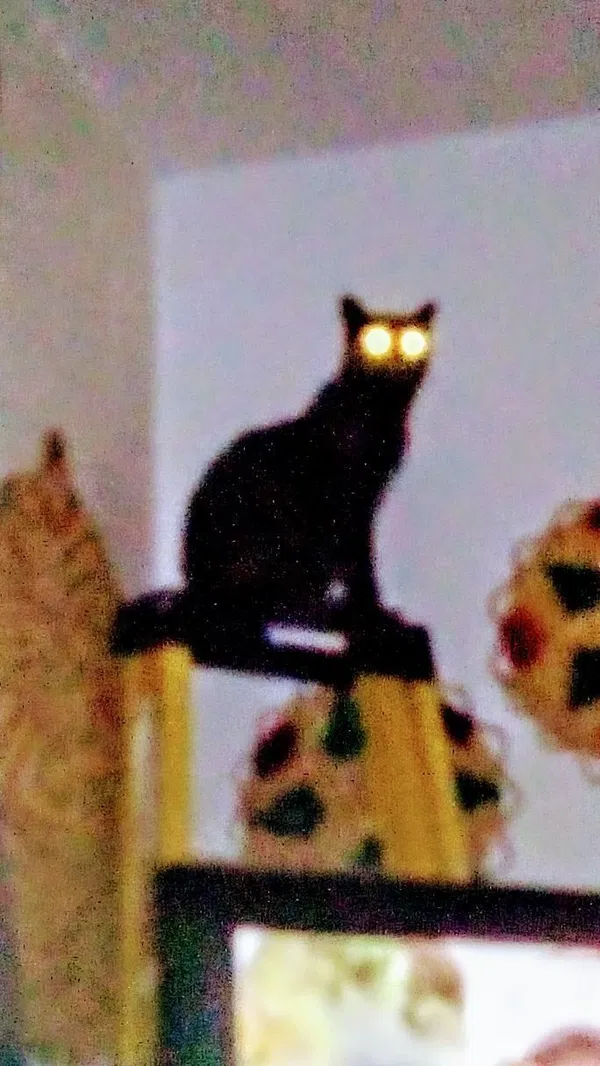 Avatar of CJrovercon