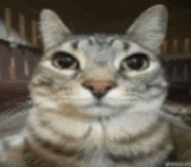 Avatar of NoneOfYaCheesecake