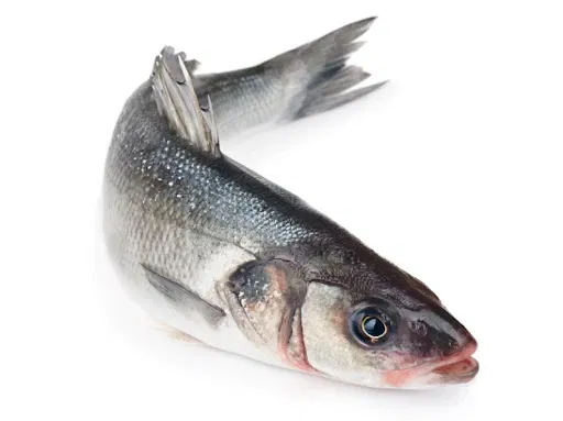 Avatar of @fish_cry