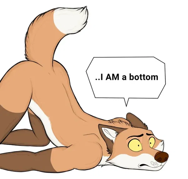 Avatar of Fox06