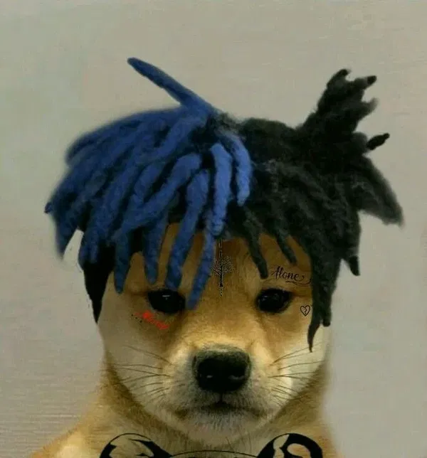 Avatar of Luisardoxd12