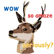 Avatar of Deerbits