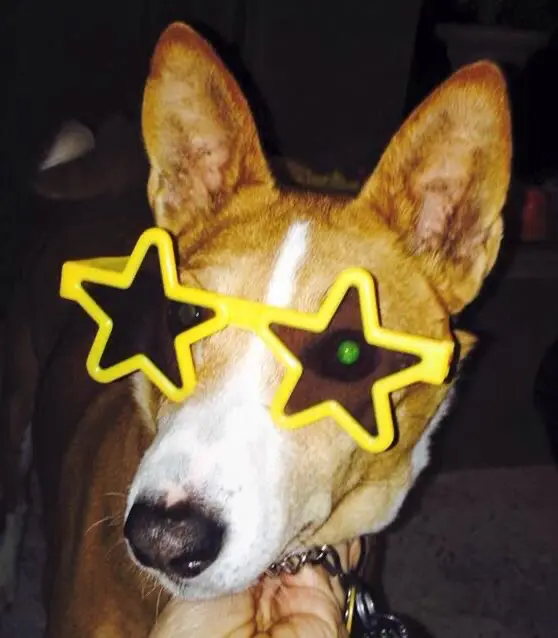 Avatar of NOTdanielthecowboy