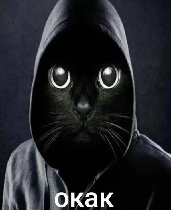 Avatar of Lizalien