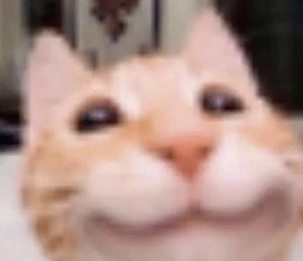 Avatar of JesterTheWhat