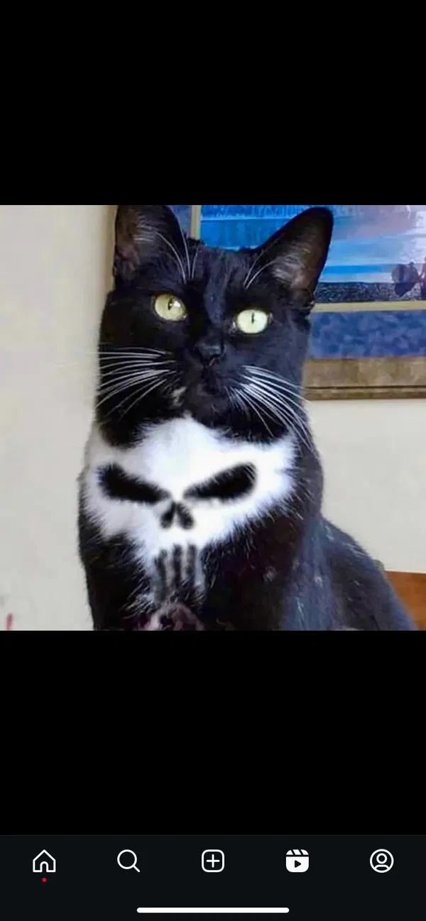Avatar of arcro