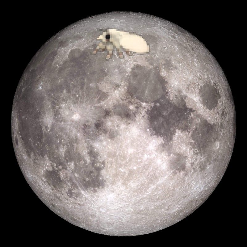 Avatar of Lunarmoth2234