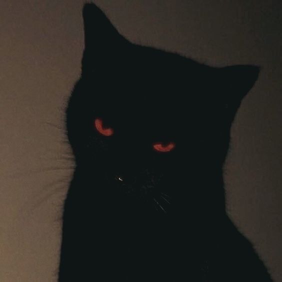 Avatar of Voidsfer