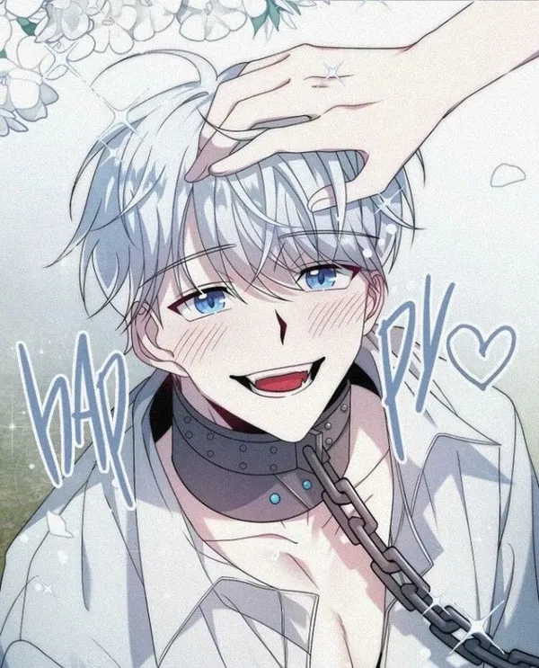 Avatar of Saorikido