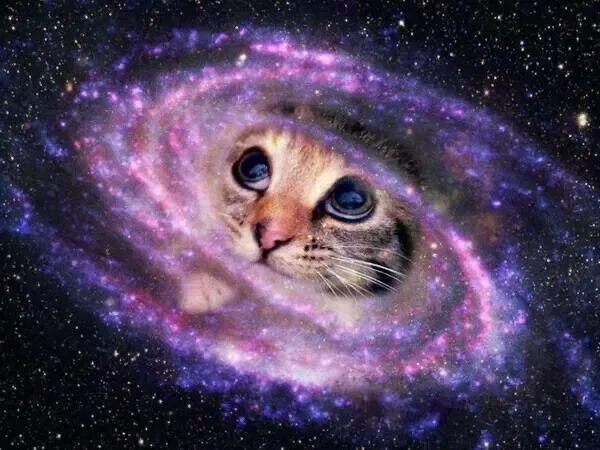 Avatar of FriendoWeirdo