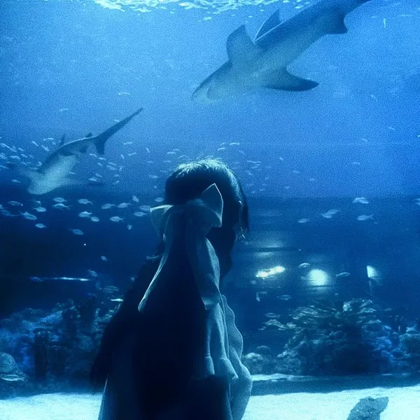Avatar of gimme_a_wave