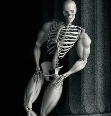Avatar of Dave_the_skeleton