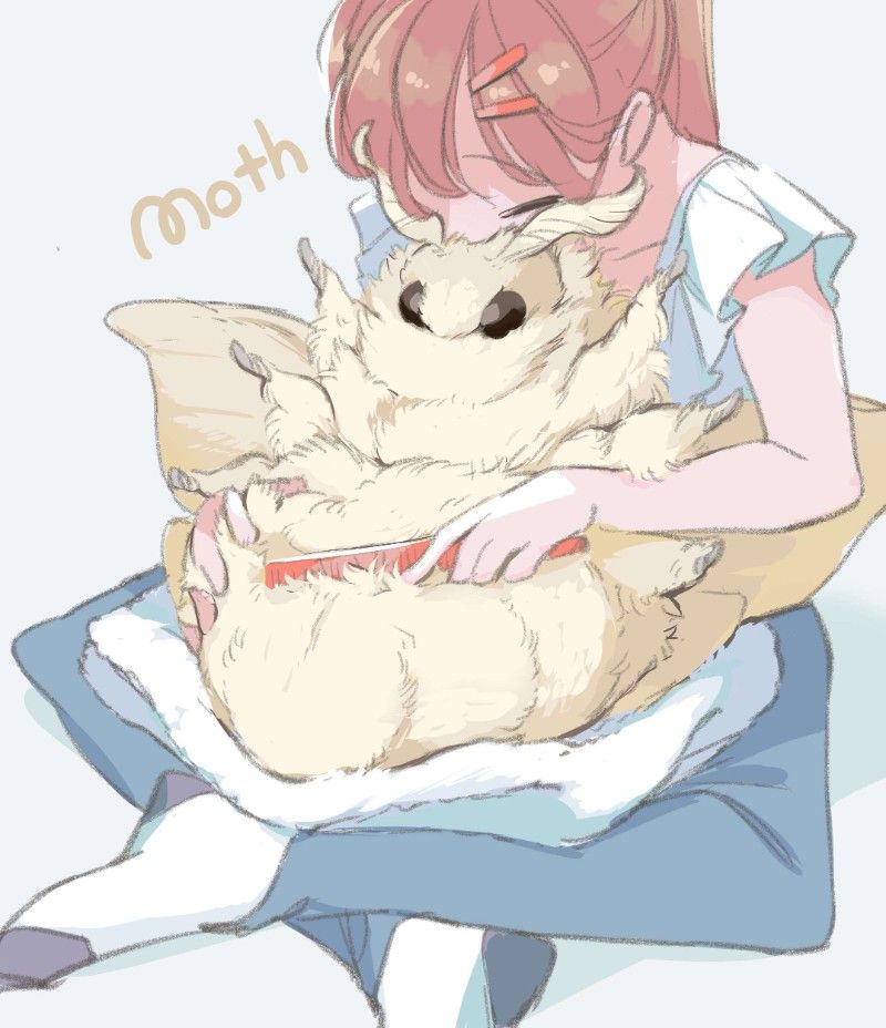 Avatar of ner611