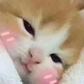 Avatar of itspooter