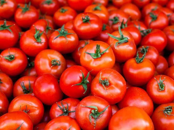 Avatar of Tomatos
