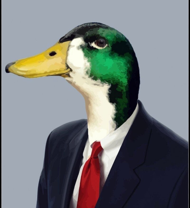 Avatar of Hejebgisnd