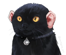 Avatar of TheEndTigerXI
