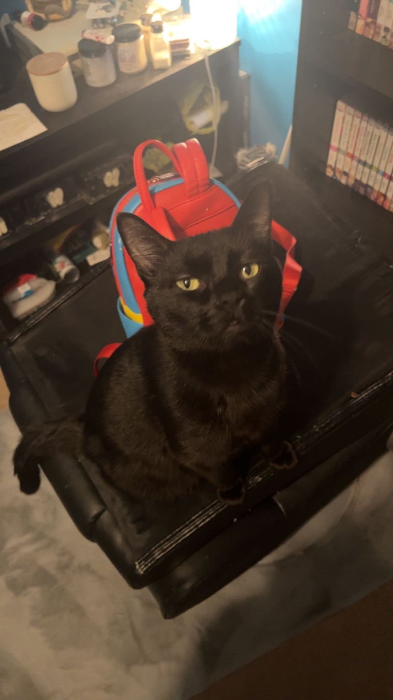 Avatar of Jazzieplock
